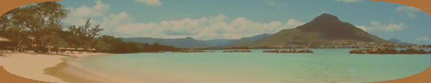 ti_caz_13_03_31001033.gif