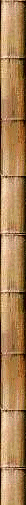 ti_caz_13_03_31002004.gif