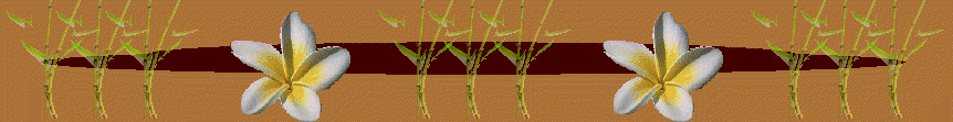 ti_caz_13_03_31003007.gif