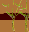ti_caz_13_03_31003010.gif