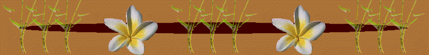 ti_caz_13_03_31004008.gif