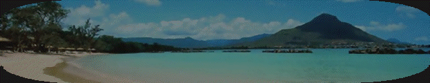 ti_caz_13_03_31007019.gif